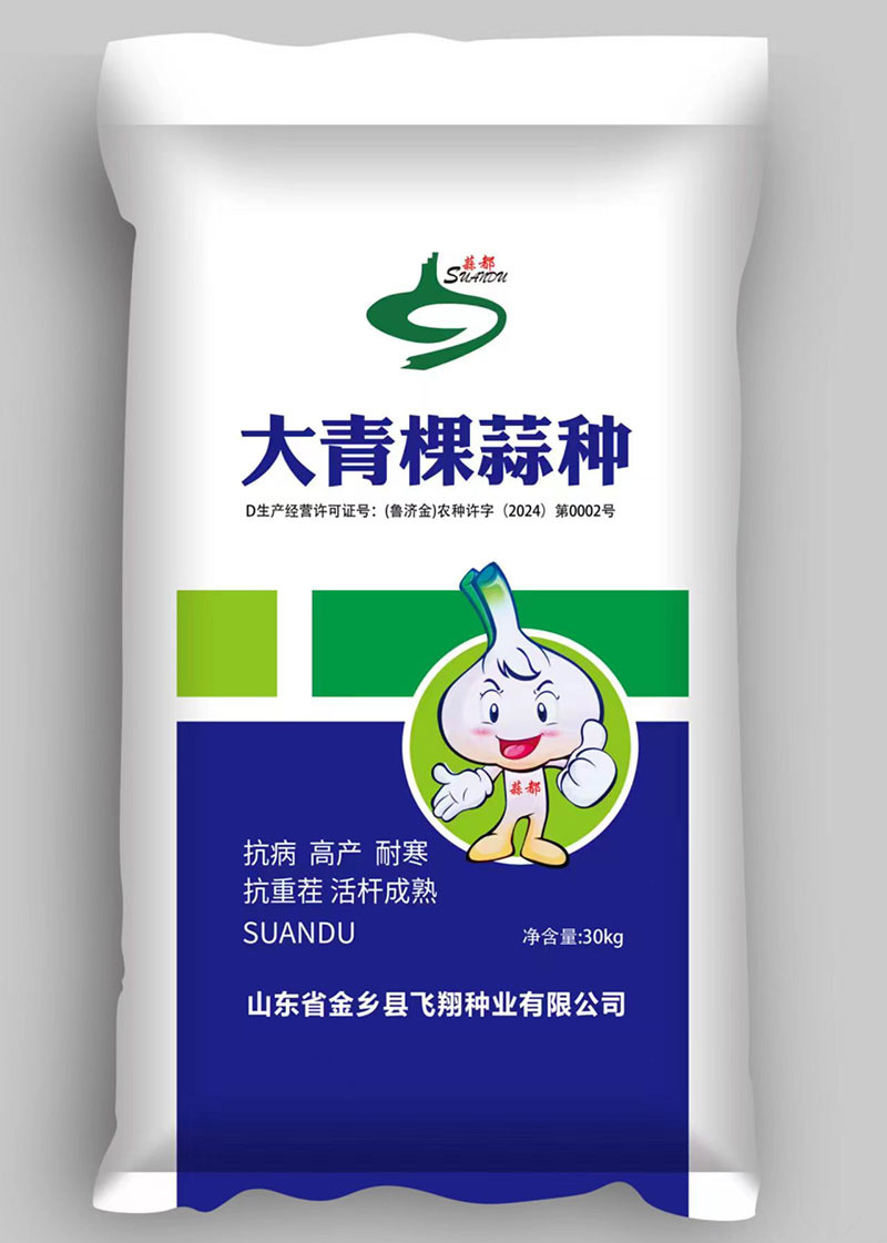 大蒜種子廠家